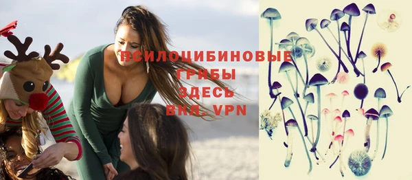 гашик Заволжье