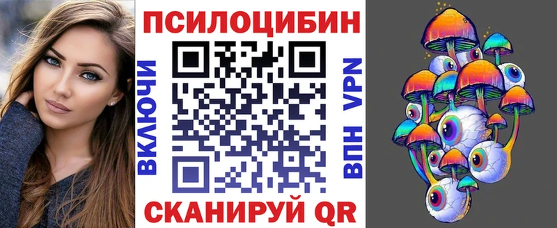 наркота  Сатка  Псилоцибиновые грибы Psilocybe 